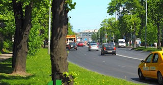 Посадка деревьев и кустарников в Мценске — стоимость от 1215 руб.